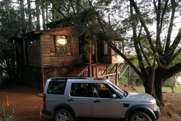 bahati-treehouse